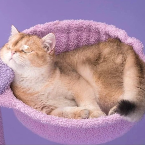 Cat tower - Picture 4 of 5